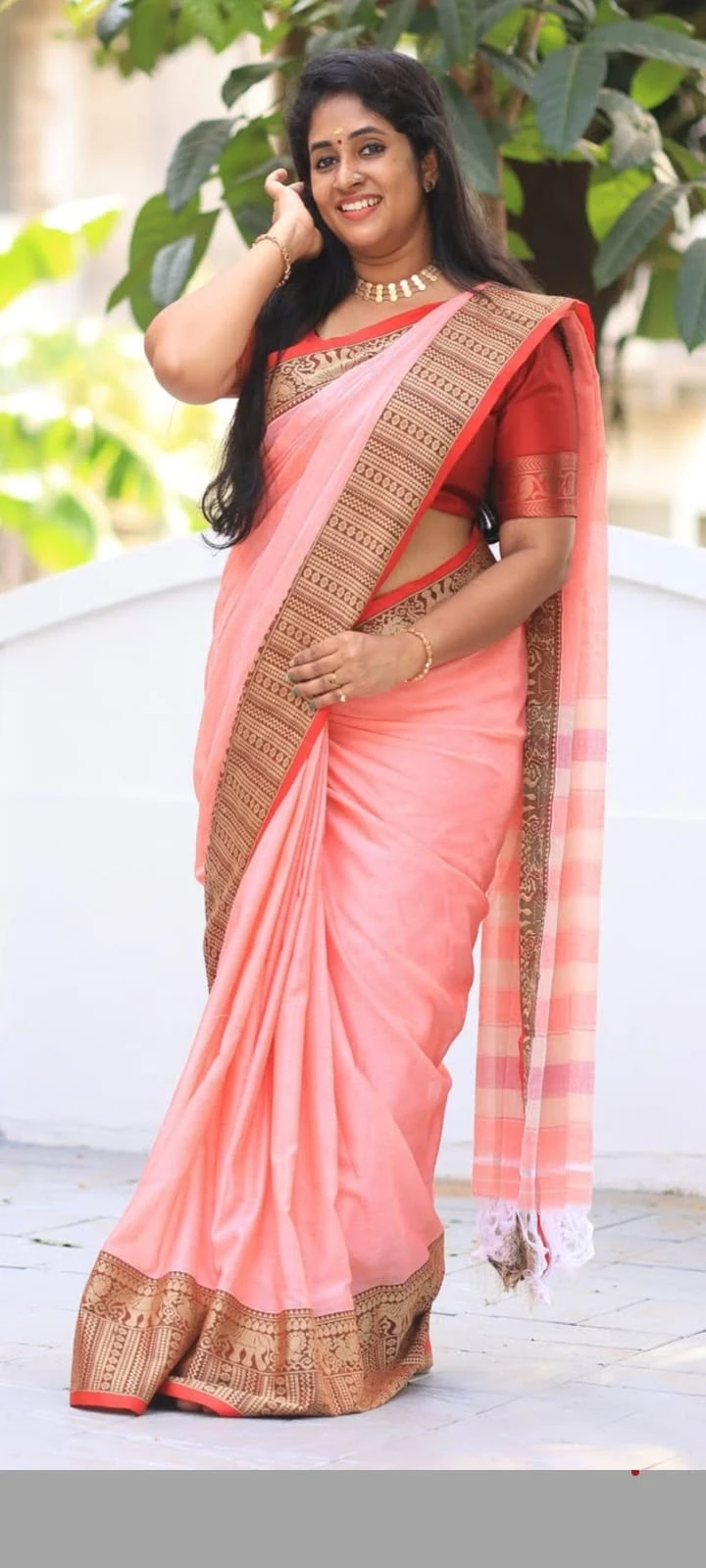 Small Elephant Border Narayanpeth Preetika  Cotton Saree